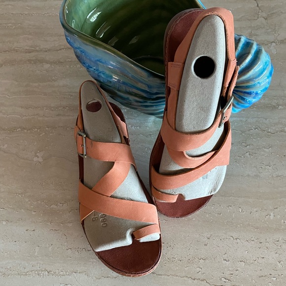 Chaco Shoes - NWOT Chaco Wayfarer Toe Loop Sandals Size 7